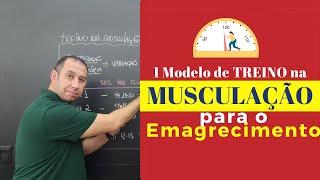 1 Modelo de Treino na Musculação para o Emagrecimento