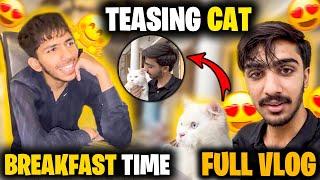 Breakfast Time  | Teasing Cat  | Aviator Trading  | add description