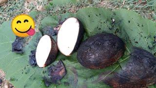 Coconut burning delicious || Village Food