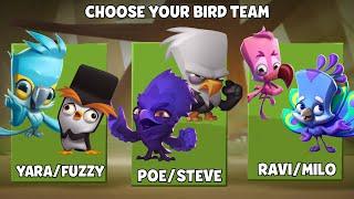 Which Bird Duo Team is Undefeatable  | Zooba