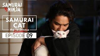 Samurai Cat Full Episode 9 | SAMURAI VS NINJA | English Sub