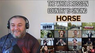 THE WHOLE RUSSIAN COUNTRY IS SINGING - MUSICTOGETHER - HORSE | Конь (REACTION)