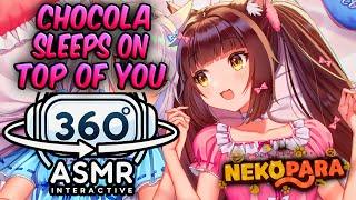 Chocola Sleeps on Top Of You~ [360º VR SOUND ASMR] | Nekopara