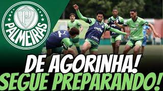 VAMOS VERDÃO! ESTAMOS MAIS QUE PREPARADOS! NOTICIAS DO PALMEIRAS