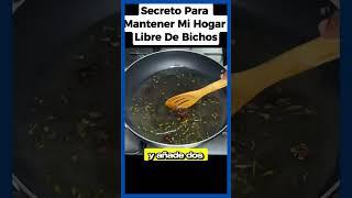  El Secreto para Mantener tu Hogar Libre de Bichos por Mucho Más Tiempo 