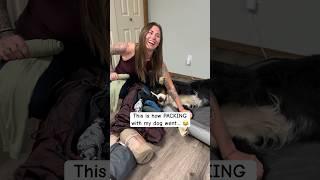 Took me 3 times longer than it should have  #dogshorts #dog #cutedog #funnydog #funnydogvideos