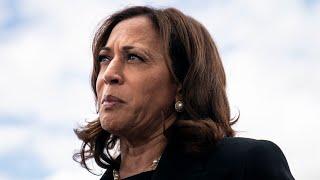 Democrats realised they are now ‘stuck’ with Kamala Harris