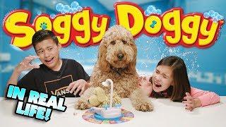 SOGGY DOGGY GAME CHALLENGE IN REAL LIFE!!! Loser Gives Chloe a Bath!