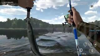 FishingPlanet# Европейский Угорь на Тибре  где стоит Поискать !!!….