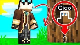 NASCONDINO DA PICCOLISSIMI SULL'ALBERO DI MINECRAFT!!