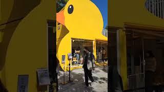 2022 Korea trip ️ #travel #travelvlog #Southkorea #seoul #expat