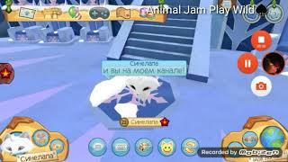 Обзор на песца Animal Jam