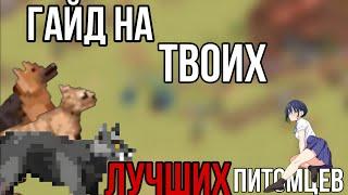 Гайд на питомца | Зомбикс онлайн | Zombix Online