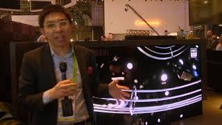 Sony Launch Master Series AG9/ A9G OLED & ZG9/ Z9G 8K TV at CES 2019