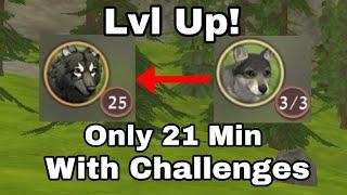 Lvl Up with Challenges//Wildcraft From Lvl 0 to 25!