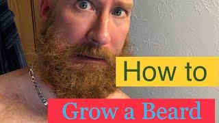 How to Grow A Beard | Care Routine | The Beard Struggle