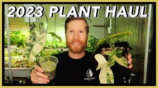 2023 RARE PLANT HAUL: TWELVE New AROIDS for the Greenhouse!