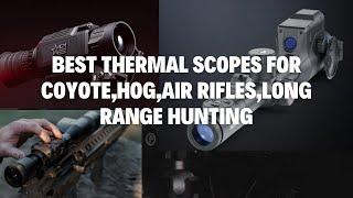 6 Best Thermal Scopes for AR15, Air Rifle, Coyote, Hog Hunting 2024