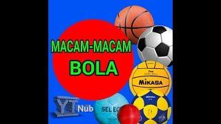 #YT_Nub #TRENDING #Bola size comparison of sports ball|perbandingan ukuran bola olahraga