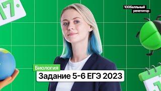 Биология ЕГЭ 2023 | Задание 5-6  | Ксения Напольская | 100балльный репетитор