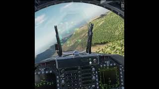DCS #shorts | Sosage killing air target chasing Steel