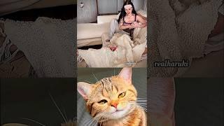 are you ready  #cat #meme #dance #trending