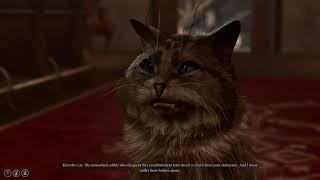 Kira The Cat - Baldur's Gate 3 Highlight