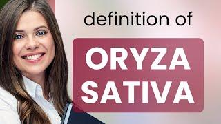 Oryza sativa | what is ORYZA SATIVA meaning