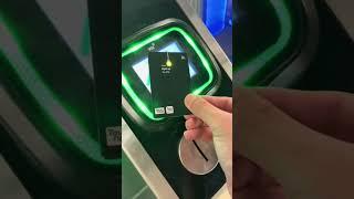 Trying out the New Touch n Go LED Limited Edition Card | Super love the interactive light bulb! 