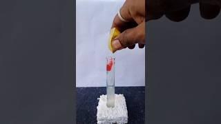 Chemical Reaction ।। Easy science experiment ‍।। #ytshorts #viral #shorts #science