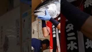 GIANT BLUEFIN TUNA CUTTING #Tuna #Sashimi #Tokyo