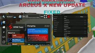 New arceus x mobile executor blox fruit new updated| MR HYPER ODD