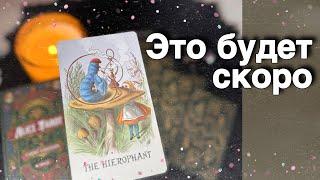 ️Что НЕОЖИДАННО случится со дня на день... ️️ расклад таро  знаки судьбыAlice Tarot