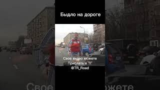 Защитил водителя от быдло на дороге #дорога #быдло