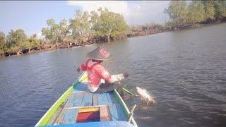 tarikan ikan jenaha nya mulai memanas ? #pancingkulup #kakapmerah