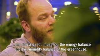 Ludvig Svensson -  Implementation Partner Plant Empowerment