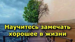 Как научиться замечать хорошее в жизни. 4 правила, которые сработают