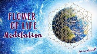 Flower of Life Meditation