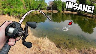 BED FISHING for GIANT BASS in an ULTRA CLEAR POND!!! (INSANE)