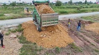 Full Project Video.!! Technique Land filling With Bulldozer KOMATSU D31P And Dump Trucks 5T