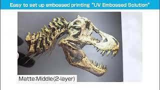 Emboss Presets and Structure Library for Mutoh UV LED DTO printers.