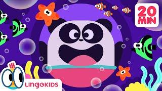 SHARK SONGS  Learn and Sing with Lingokids + Ocean Adventures