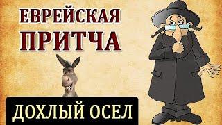 Еврейская Притча о Дохлом Осле. Как Мойше Купил и Продал Осла