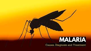 What is Malaria, Causes, Signs and Symptoms, Diagnosis and Treatment.