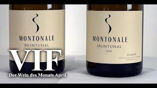 VIF - Wein erleben. Der Wein des Monats April • Lugana Montunal 2018