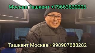 Владимир Ташкент автобус Россия Узбекистан прямой рейс автобус