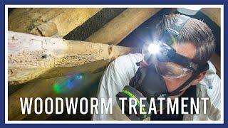 Woodworm treatment