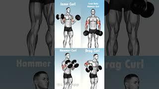 biceps va tritsepesga ishalsh