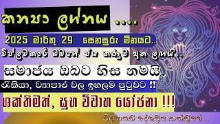 2025 සෙනසුරු මාරුව |කන්‍යා ලග්නය| kanya lagnapalapala | #virgo #astrology