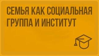 Семья как социальная группа и институт. Видеоурок по обществознанию 11 класс